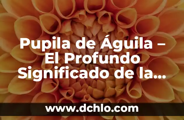El Significado del Águila de México 4 Pupila de Águila – El Profundo Significado de la Canción