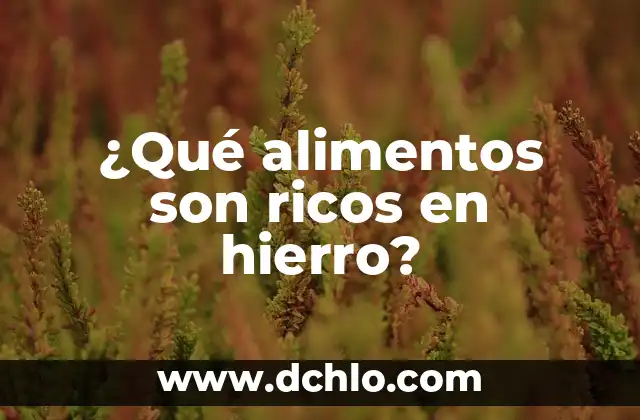 ¿Qué son las articulaciones del cuerpo humano? 4 ¿Qué alimentos son ricos en hierro?