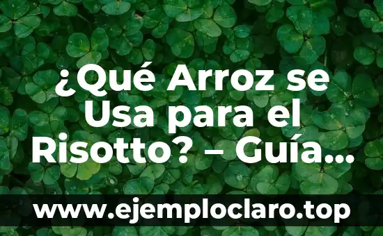 ¿Qué Arroz se Usa para el Risotto? – Guía Completa para Cocinar Risotto Auténtico