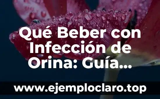¿Es malo beber mucha agua y orinar mucho? Descubre la verdad 5 Qué Beber con Infección de Orina: Guía Completa para la Recuperación