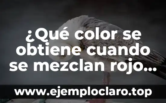 Interiores Pintado de Amarillo Significado 6 ¿Qué color se obtiene cuando se mezclan rojo y amarillo?