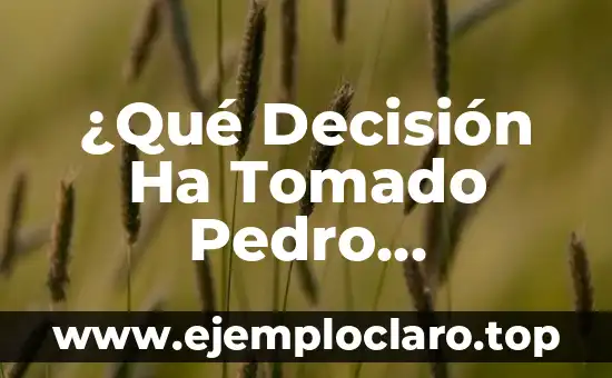 ¿Qué Decisión Ha Tomado Pedro Sánchez? Análisis y Consecuencias