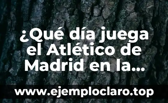 ¿Qué día juega el Atlético de Madrid en la Liga y Champions? – Calendario Actualizado