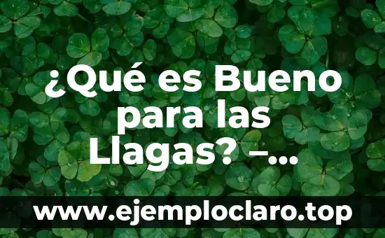 ¿Qué es Bueno para las Llagas? – Descubre las Mejores Opciones Naturales