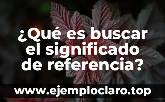 ¿Qué es buscar el significado de referencia?