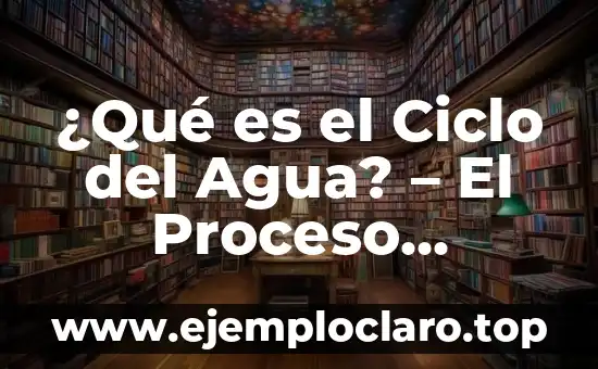 ¿Qué es el Ciclo del Agua? - El Proceso Natural del Agua en la Tierra