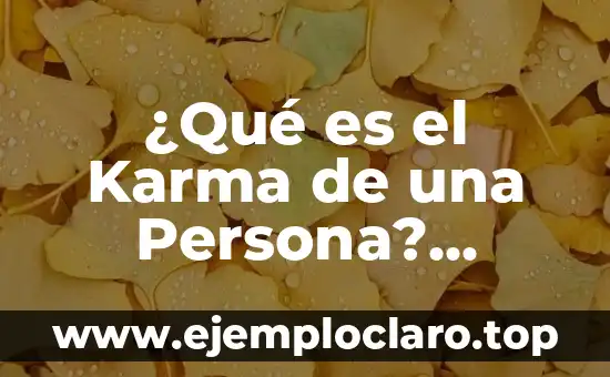¿Qué es el Karma de una Persona? Ejemplos y Explicación