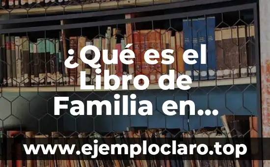 Capítulo 40 de Secretos de Familia: La Verdad sobre la Traición 7 ¿Qué es el Libro de Familia en España?