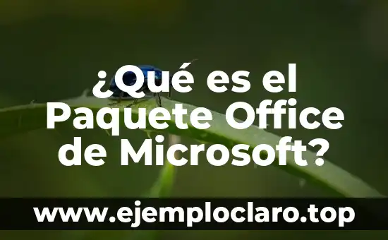 ¿Qué es el Paquete Office de Microsoft?