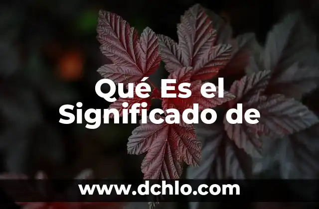 El Significado de la Flor de Loto Amarilla 7 Qué Es el Significado de