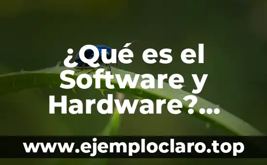 ¿Qué es el Software y Hardware? Definición y Ejemplos