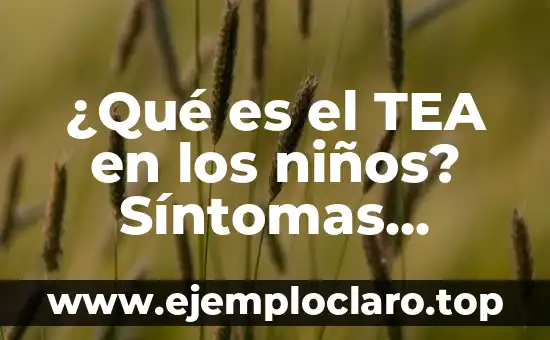 ¿Qué es un Texto No Literario? Definición y Características 7 ¿Qué es el TEA en los niños? Síntomas, causas y tratamiento