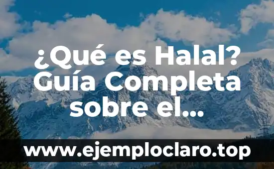El Significado Filosófico de los Actos Morales 3 ¿Qué es Halal? Guía Completa sobre el Significado y su Importancia