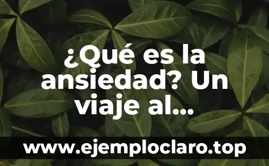 ¿Qué es la ansiedad? Un viaje al significado de la ansiedad