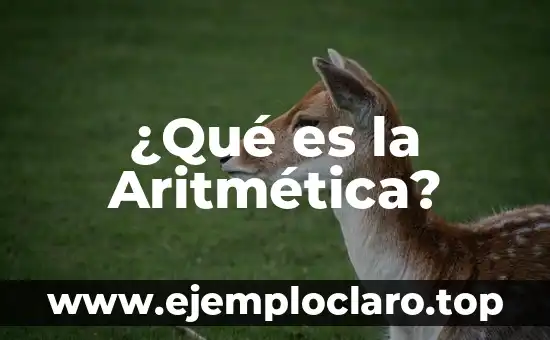 ¿Qué es la Aritmética?