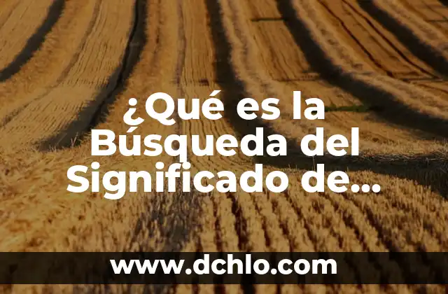 Hipótesis de Investigación Aprendizaje Significativo 5 ¿Qué es la Búsqueda del Significado de Hipótesis?