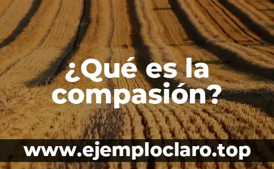 ¿Qué es la compasión?