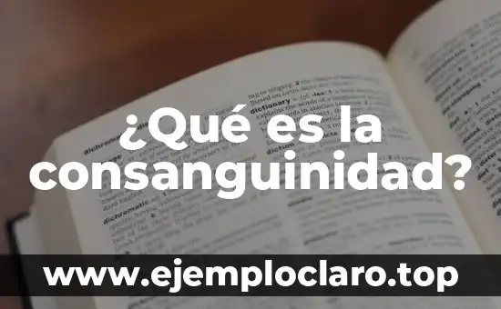 ¿Qué es la consanguinidad?
