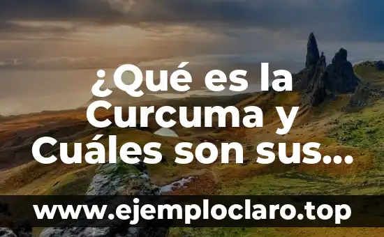 ¿Qué es la Curcuma y Cuáles son sus Beneficios?