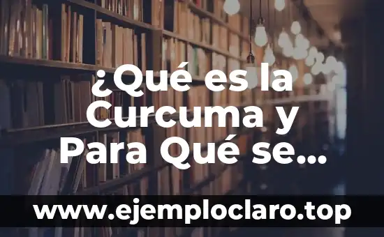 ¿Qué es la Curcuma y Para Qué se Usa? – Propiedades y Beneficios
