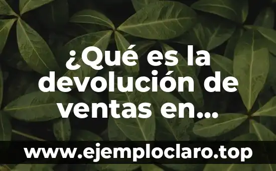 ¿Qué es la devolución de ventas en contabilidad?