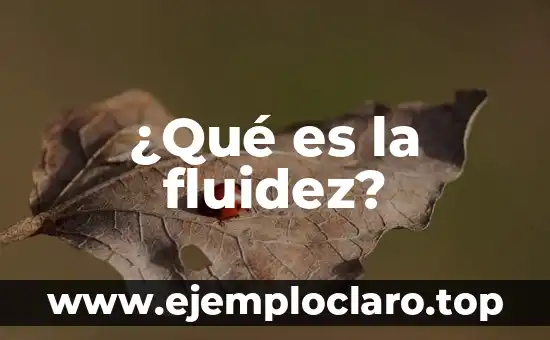 ¿Qué es la fluidez?
