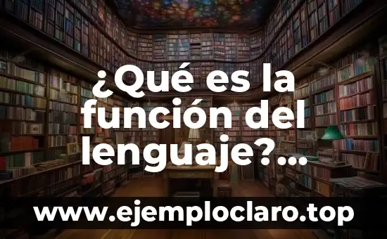 ¿Qué es la función del lenguaje? Definición y características
