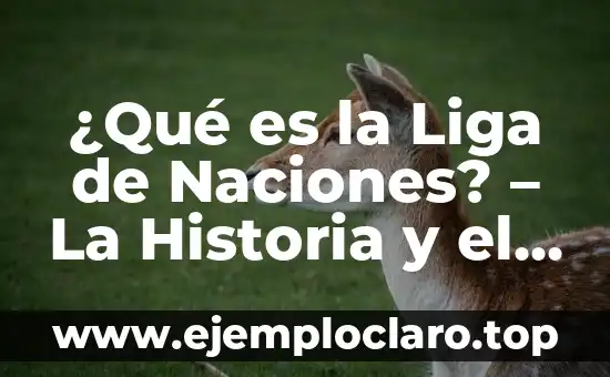 ¿Qué es la Liga de Naciones? - La Historia y el Propósito Detrás de Esta Organización Internacional