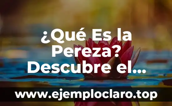 ¿Qué Es la Pereza? Descubre el Significado y Concepto