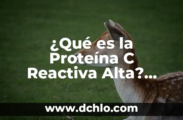 Significado de las bibliotecas de C 6 ¿Qué es la Proteína C Reactiva Alta? Definición, Causas y Síntomas