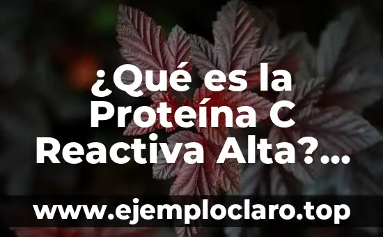 Significado de A de C 6 ¿Qué es la Proteína C Reactiva Alta? Definición, Causas y Síntomas