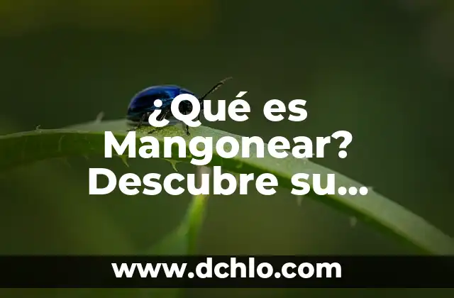 Significado en inglés de Clean: Descubre su definición y usos 8 ¿Qué es Mangonear? Descubre su Significado y Usos