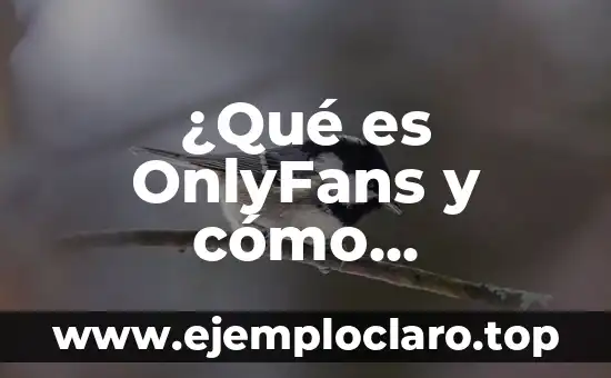 ¿Qué es una Centrifuga? Definición y Usos 5 ¿Qué es OnlyFans y cómo funciona?