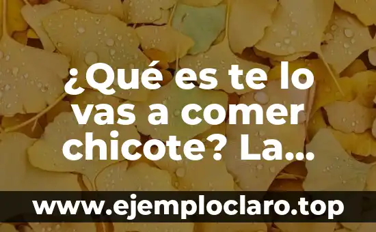 ¿Qué es te lo vas a comer chicote? La respuesta a la pregunta del momento