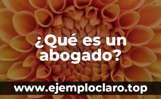 ¿Qué es el Vestido Dorado o Azul? La Ilusión Óptica que Divide a la Sociedad 4 ¿Qué es un abogado?