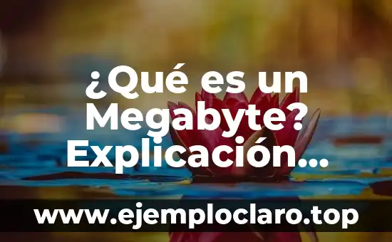 ¿Qué es un Megabyte? Explicación detallada