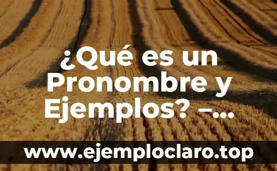 ¿Qué es un Pronombre y Ejemplos? – Definición y Uso Correcto