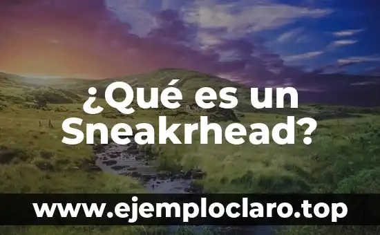 ¿Qué es un Texto No Literario? Definición y Características 6 ¿Qué es un Sneakrhead?