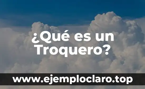 ¿Qué es el abecedario de los sueños? 8 ¿Qué es un Troquero?
