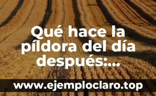Qué hace la píldora del día después: efectos y consecuencias
