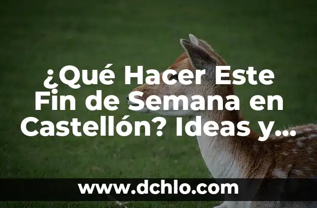 ¿Cómo Quitar las Várices en una Semana? - Soluciones Naturales y Efectivas 4 ¿Qué Hacer Este Fin de Semana en Castellón? Ideas y Actividades