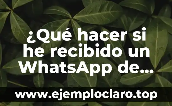 ¿Qué hacer si he recibido un WhatsApp de un desconocido? Guía completa para mantener la seguridad en línea