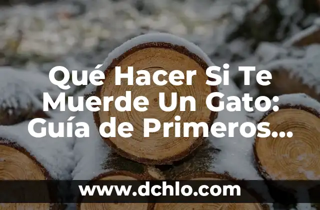 ¿Qué Significa Soñar que una Serpiente te Muerde? Análisis y Interpretación de los Sueños 5 Qué Hacer Si Te Muerde Un Gato: Guía de Primeros Auxilios y Precauciones
