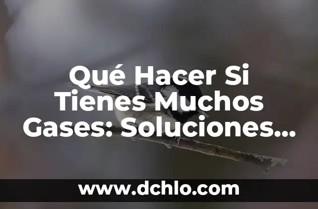 ¿Qué Tomar para Diarrea en Adultos? - Remedios Naturales y Medicamentos 7 Qué Hacer Si Tienes Muchos Gases: Soluciones y Remedios Naturales