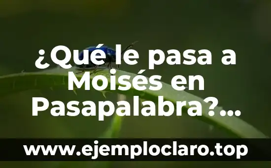 ¿Qué le pasa a Moisés en Pasapalabra? Análisis y explicación