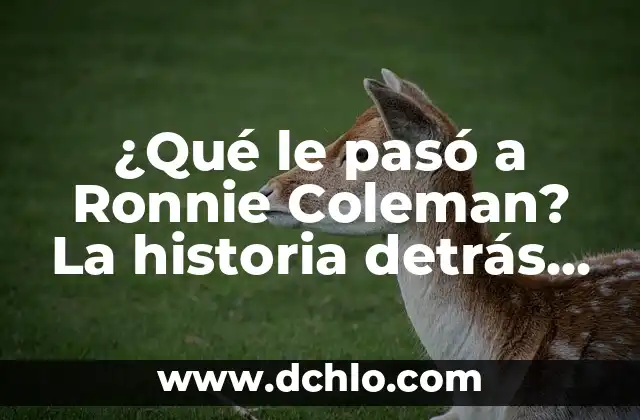 El Significado de Realistas y su Impacto en el Arte y la Historia 7 ¿Qué le pasó a Ronnie Coleman? La historia detrás de la decadencia del ocho veces Mr. Olympia