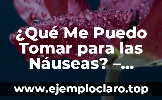 Cómo Hacer Medicamentos en el Bosque 5 ¿Qué Me Puedo Tomar para las Náuseas? – Remedios Naturales y Medicamentos