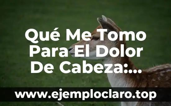 Tipos de Articulaciones Según su Movimiento: Una Guía Completa 4 Qué Me Tomo Para El Dolor De Cabeza: Guía Completa