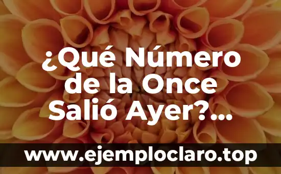 ¿Qué Número de la Once Salió Ayer? Resultados y Análisis