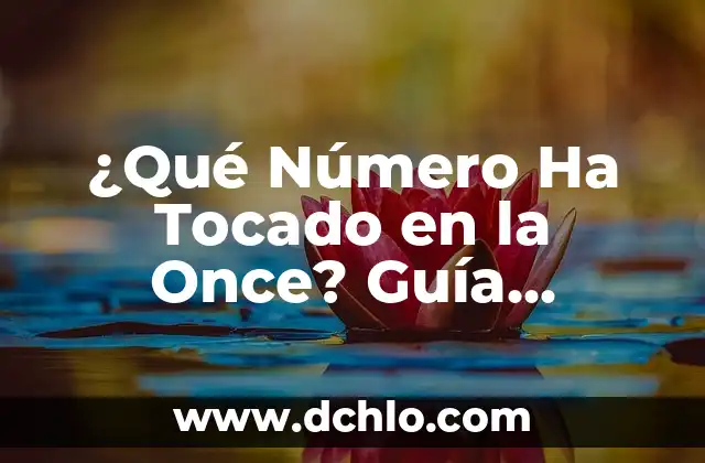 Las 50 Mejores Películas de la Historia del Cine: Una Guía Definitiva 4 ¿Qué Número Ha Tocado en la Once? Guía Completa para Ganar en el Sorteo